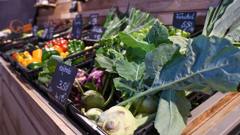 Kohlrabi von den Hoffreunden Boris Rhein bei den Hoffreunden und auf dem Lindenhof in Buttzbach in Nieder-Weisel