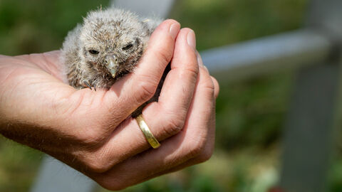 Umwelt, Klimaschutz, Landwirtschaft und Verbraucherschutz
