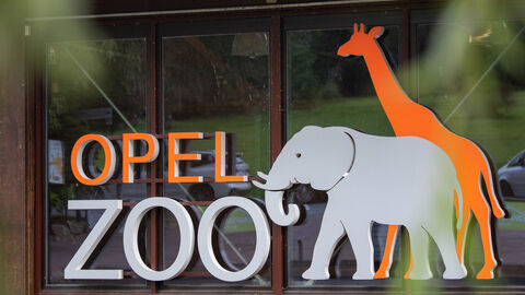 Schriftzug "Opel-Zoo" mit einer Stilisierten Giraffe und einem Elefant